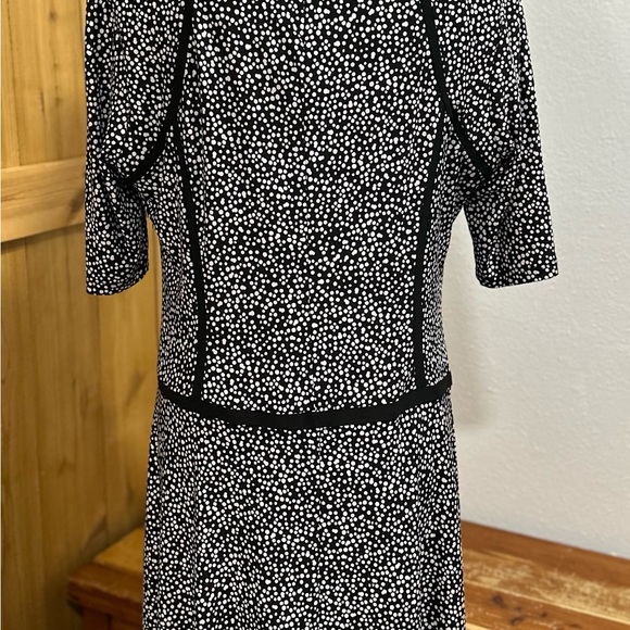 American Living Dress New With Tags Black and White Dress - Picture 2 of 3